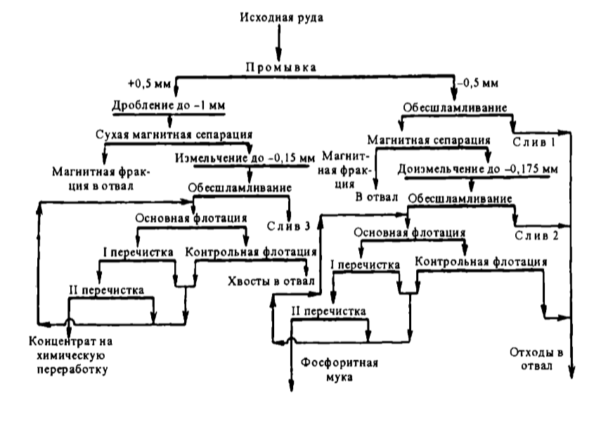 Технологическая схема обогащения с получением высококачественного концентрата и фосфоритной муки с применением магнитной сепарации и флотации мытой руды